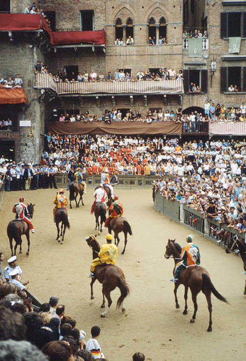 Palio Horses, Siena, Tuscany, Italy