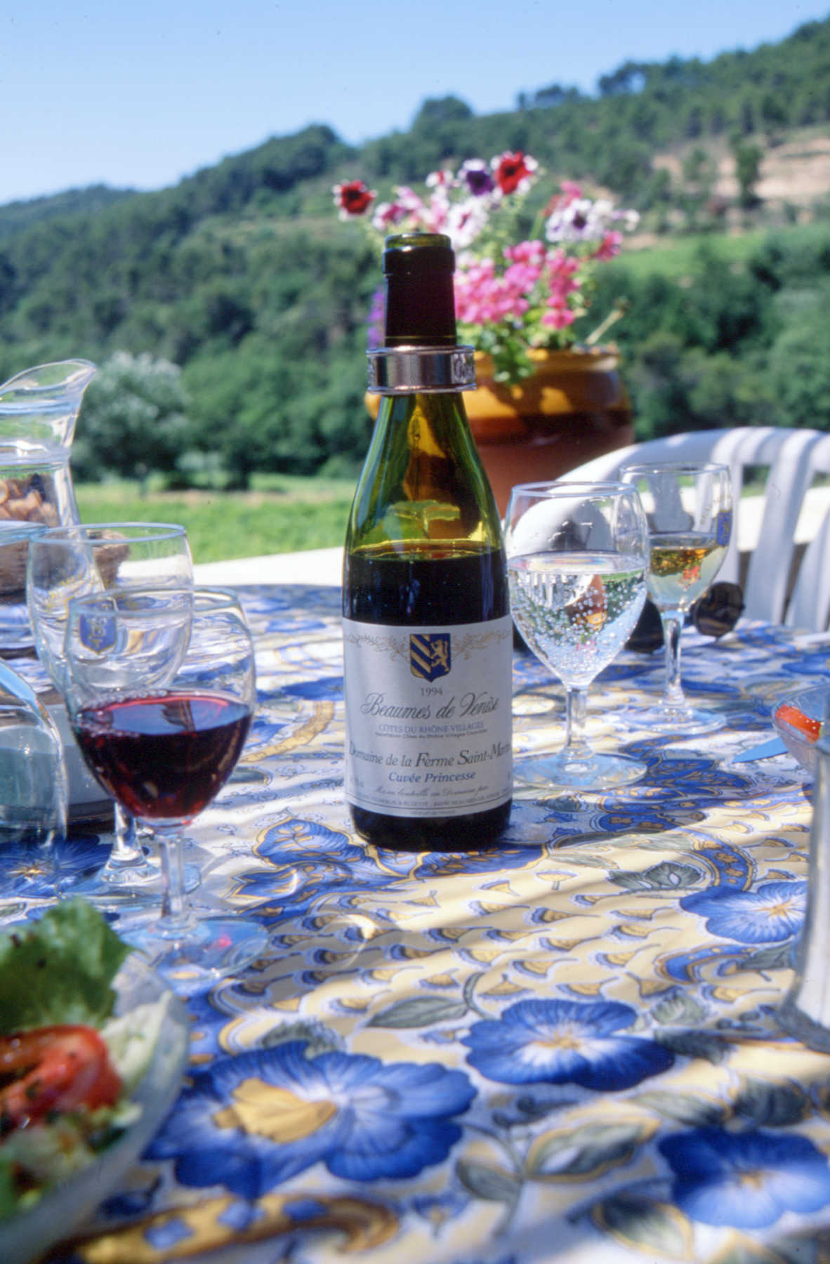 Cotes du Rhone Wine Picnic, Provence, France