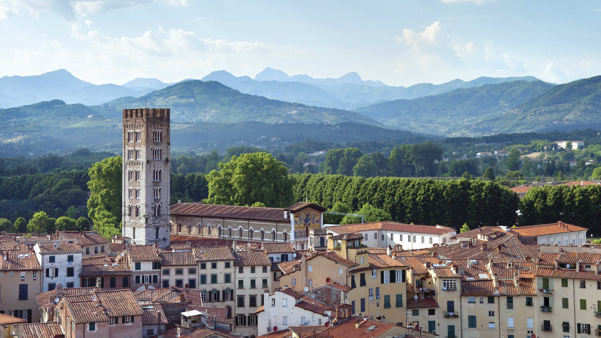Lucca viewpoint